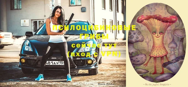таблы Абинск
