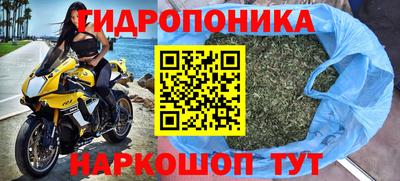 гидропоника Новодвинск